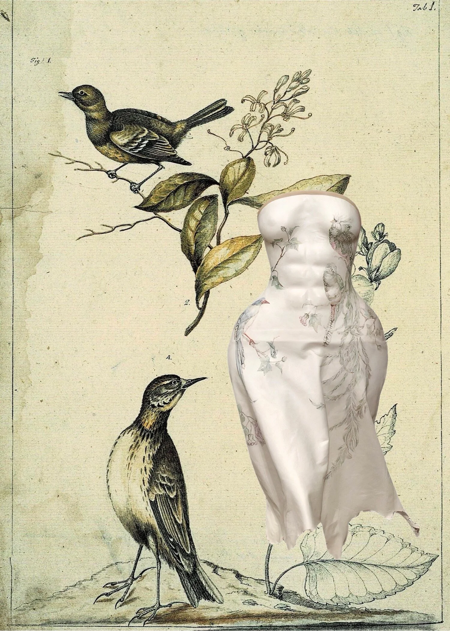 THE SECRET GARDEN — Sarah Aaronson
